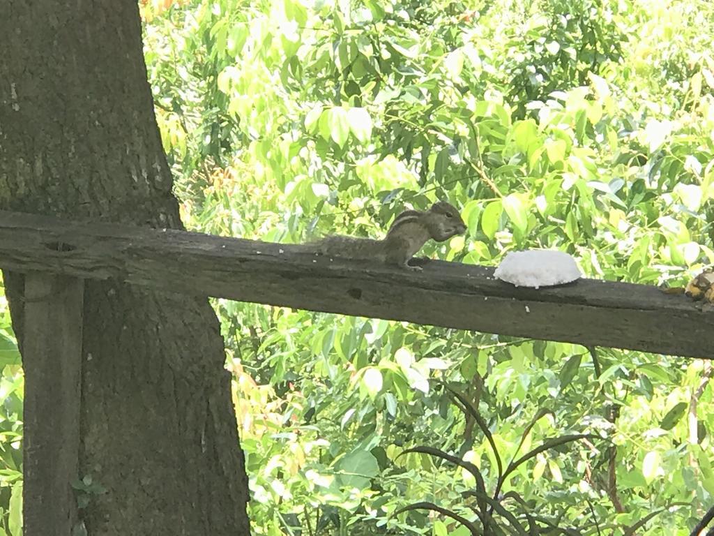 Mount Nature Villa Hikkaduwa Cameră foto